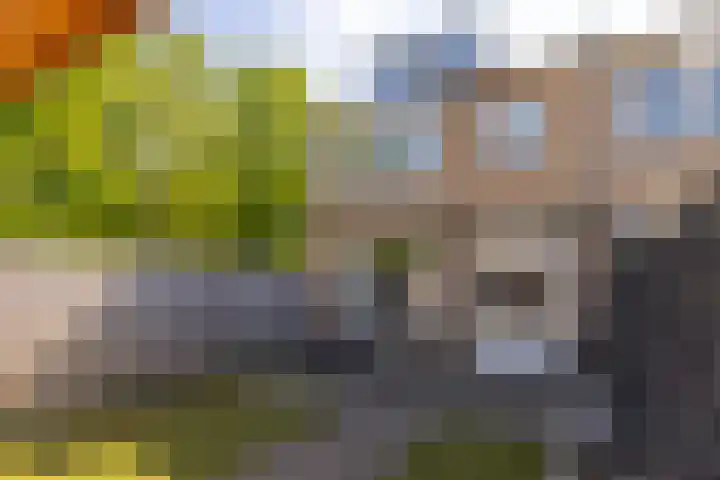 Dahliastraat 67 Oosterhout thumbnail 37