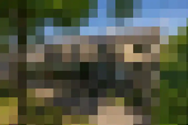 Dahliastraat 67 Oosterhout thumbnail 38