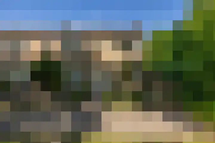 Dahliastraat 67 Oosterhout thumbnail 39