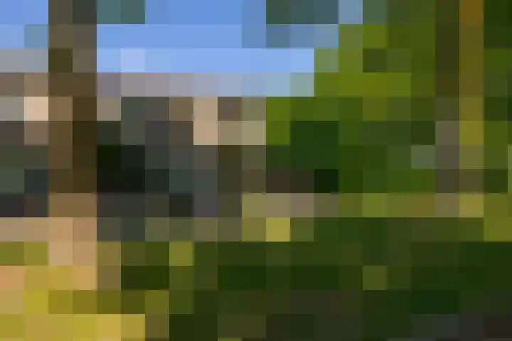 Dahliastraat 67 Oosterhout thumbnail 40