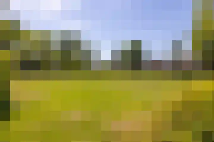 Dahliastraat 67 Oosterhout thumbnail 41