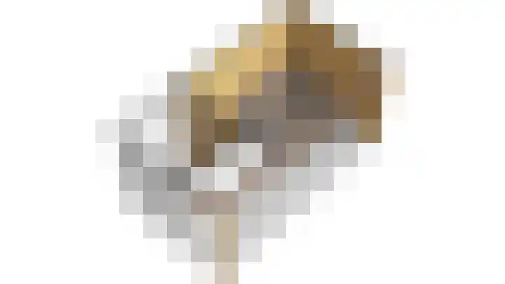 Dahliastraat 67 Oosterhout thumbnail 45