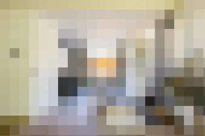 Dahliastraat 67 Oosterhout thumbnail 6
