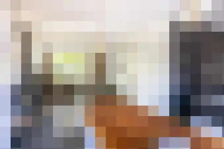 Dahliastraat 67 Oosterhout thumbnail 7