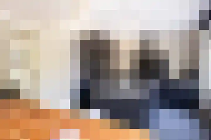 Dahliastraat 67 Oosterhout thumbnail 8