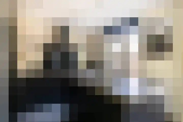 Dahliastraat 67 Oosterhout thumbnail 9