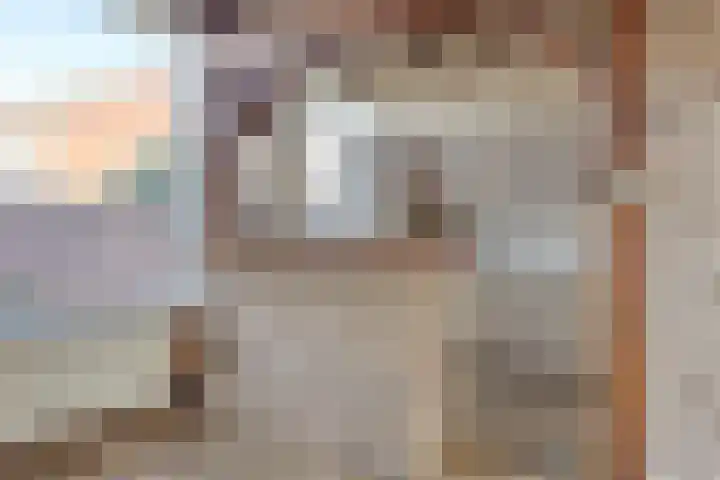 Dahliastraat 7 Drunen thumbnail 16