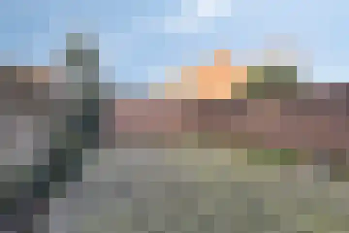Dahliastraat 7 Drunen thumbnail 29