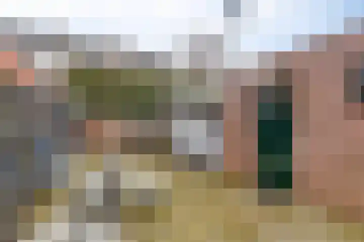 Dahliastraat 7 's-Heerenberg thumbnail 36