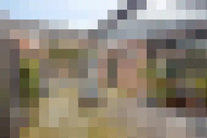 Dahliastraat 7 's-Heerenberg thumbnail 4