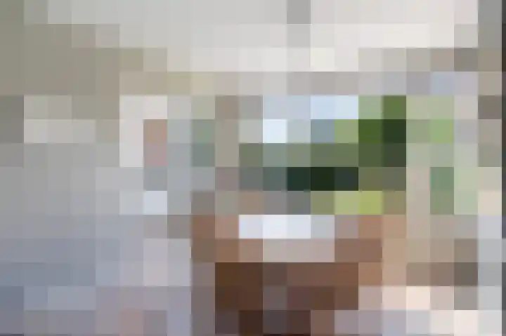 Dahliastraat 7 Stolwijk thumbnail 10