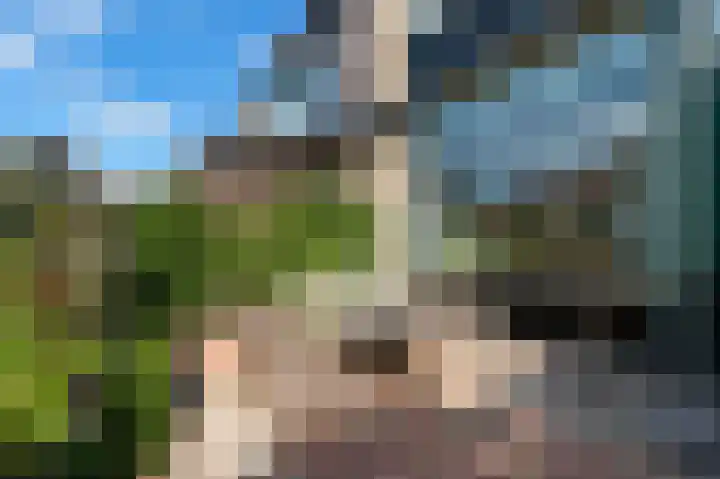 Dahliastraat 7 Stolwijk thumbnail 16