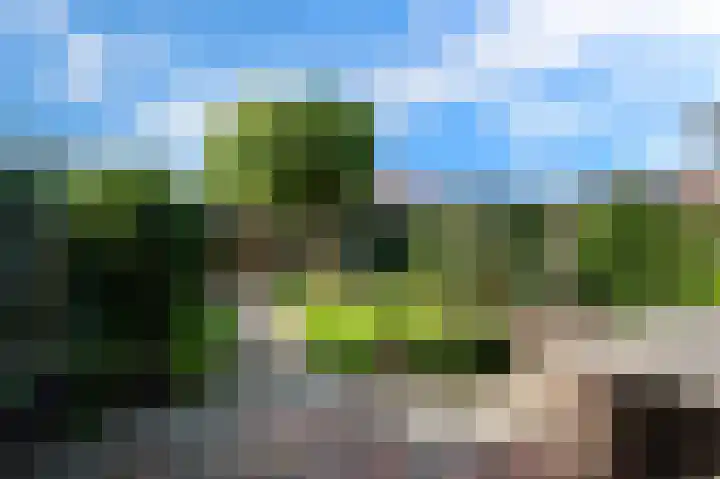 Dahliastraat 7 Stolwijk thumbnail 17