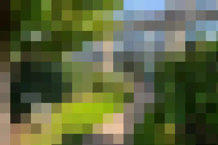Dahliastraat 7 Stolwijk thumbnail 20
