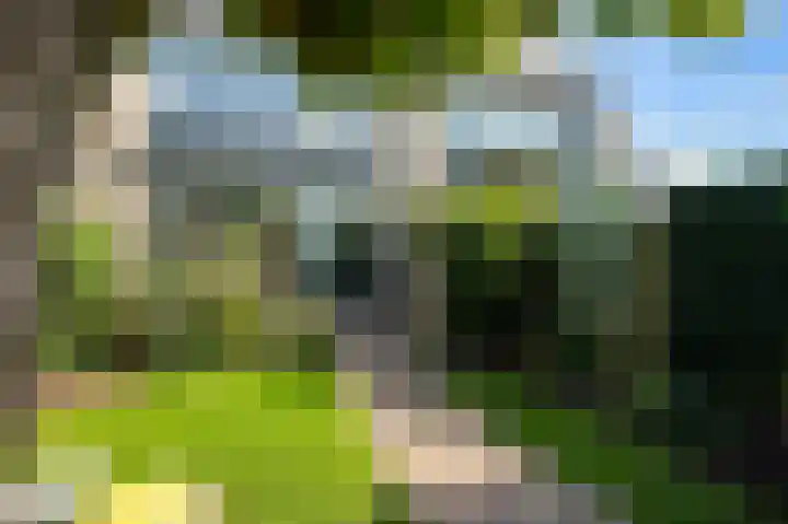 Dahliastraat 7 Stolwijk thumbnail 22