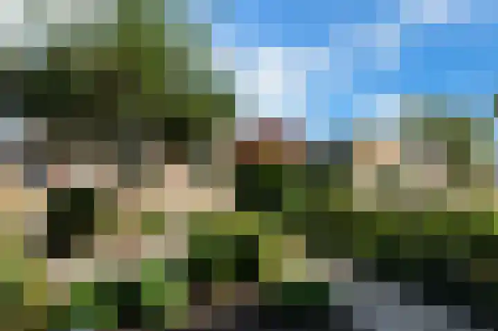 Dahliastraat 7 Stolwijk thumbnail 45
