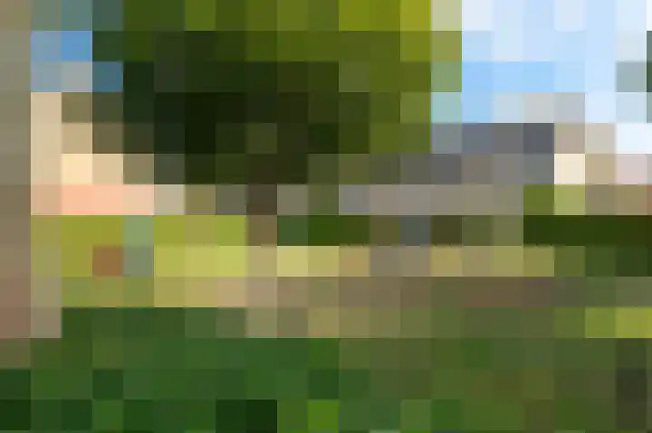Dahliastraat 7 Stolwijk thumbnail 46