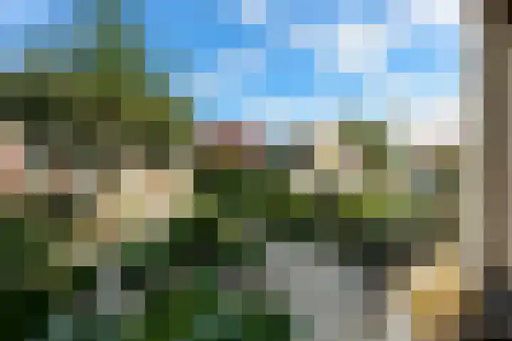 Dahliastraat 7 Stolwijk thumbnail 7