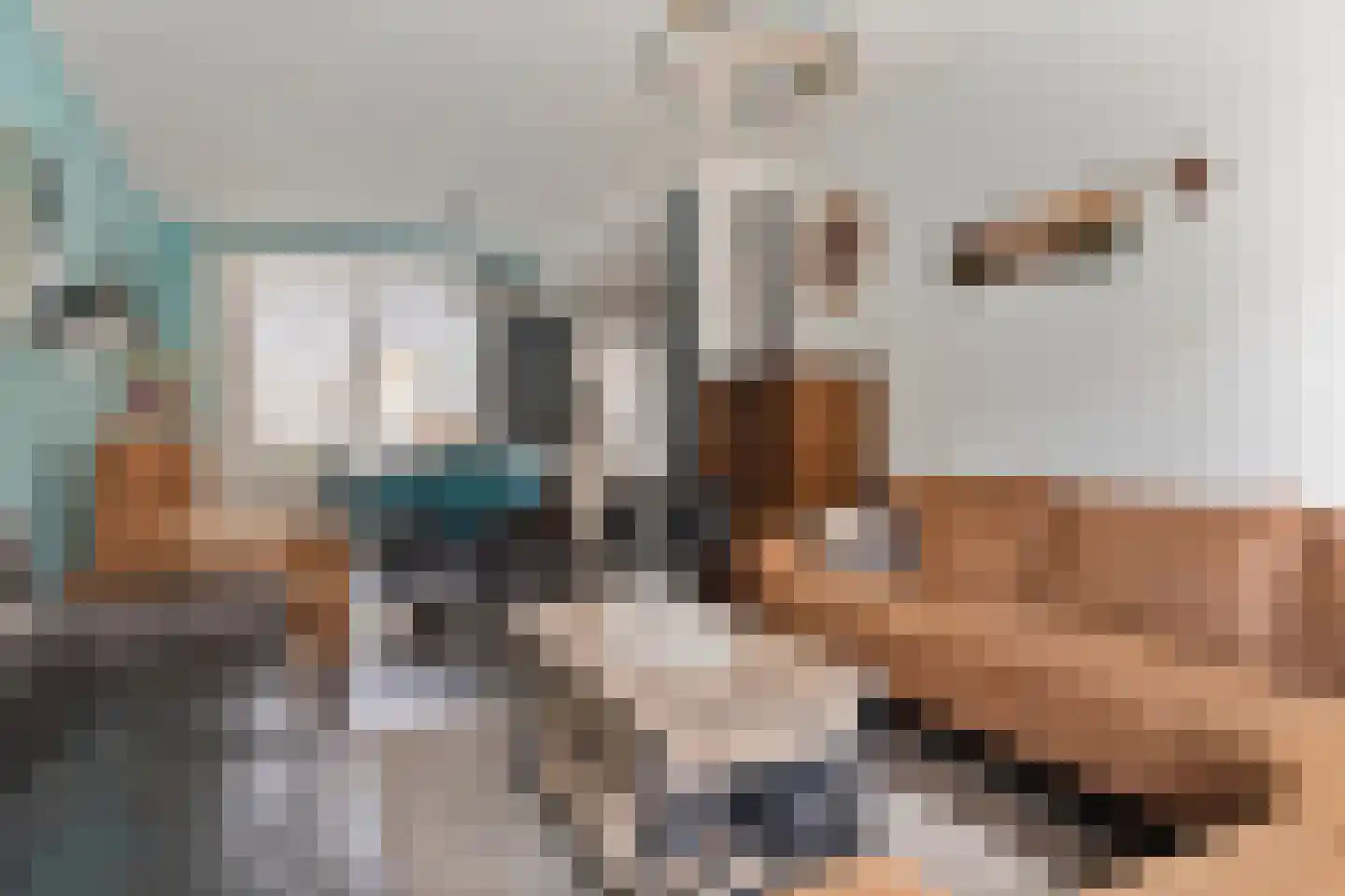 Dahliastraat 7 Terneuzen thumbnail 12