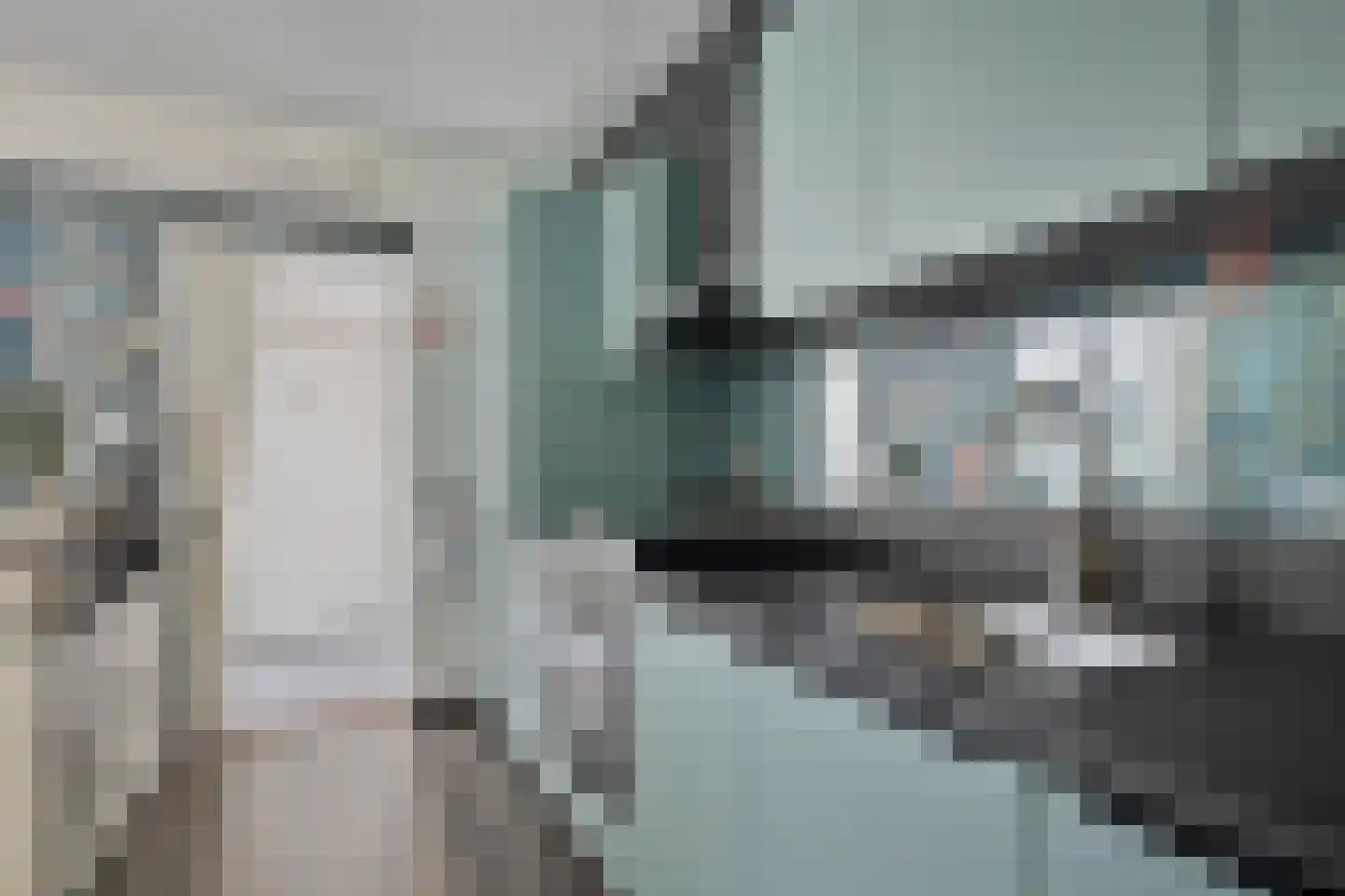 Dahliastraat 7 Terneuzen thumbnail 17