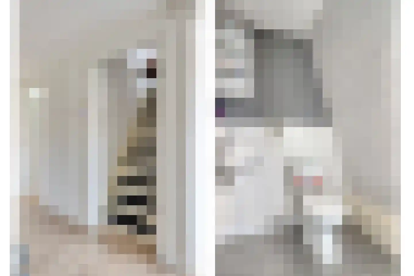 Dahliastraat 7 Terneuzen thumbnail 24