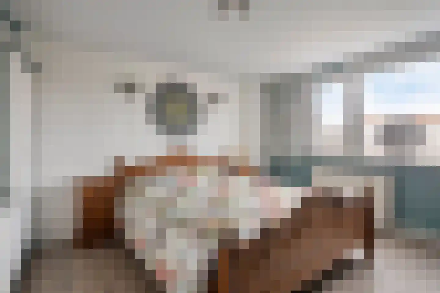 Dahliastraat 7 Terneuzen thumbnail 25