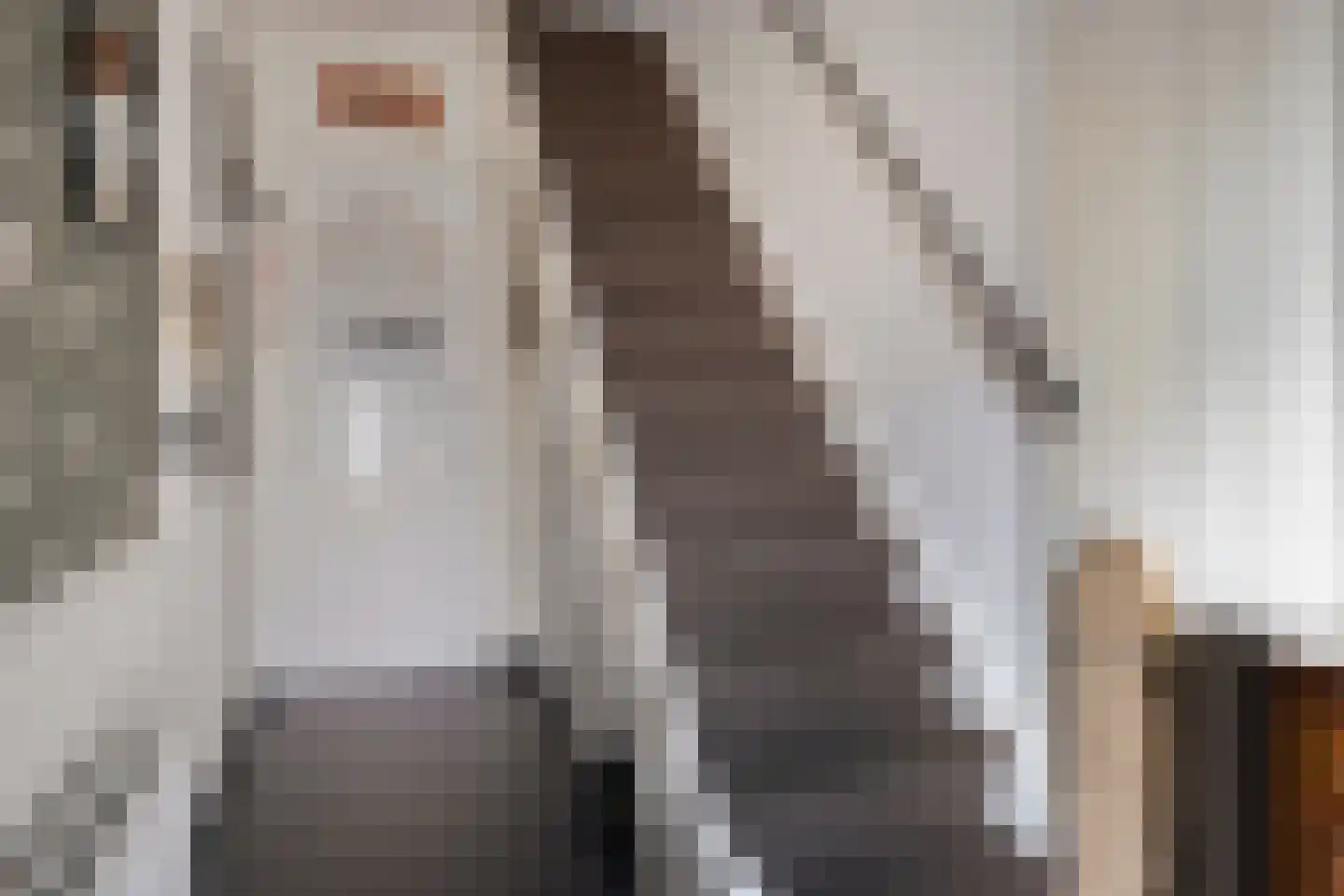 Dahliastraat 7 Terneuzen thumbnail 7