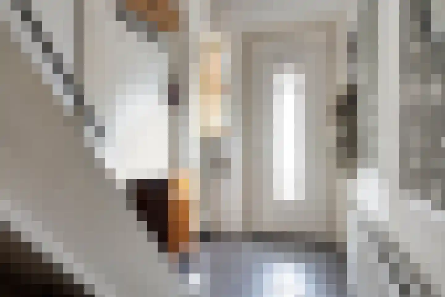 Dahliastraat 7 Terneuzen thumbnail 8