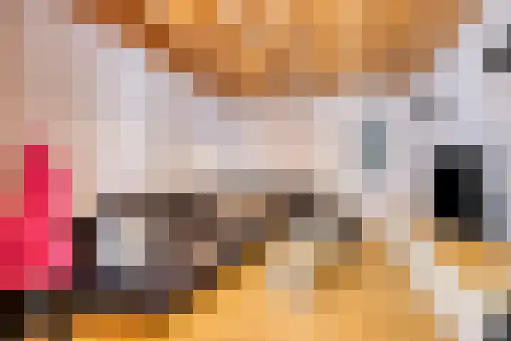 Dahliastraat 75 A Made thumbnail 15