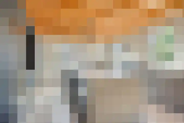 Dahliastraat 75 A Made thumbnail 22