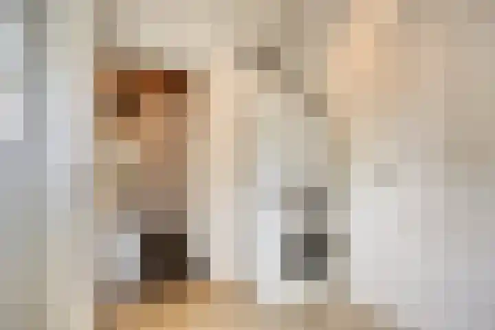 Dahliastraat 75 A Made thumbnail 33
