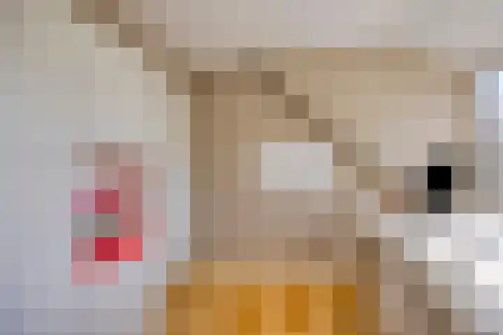 Dahliastraat 75 A Made thumbnail 63