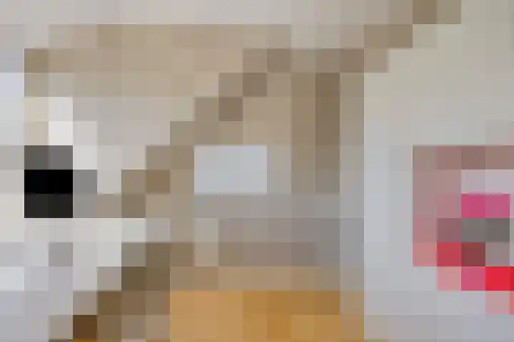 Dahliastraat 75 A Made thumbnail 64