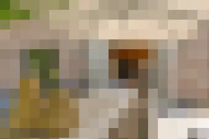 Dahliastraat 75 A Made thumbnail 66