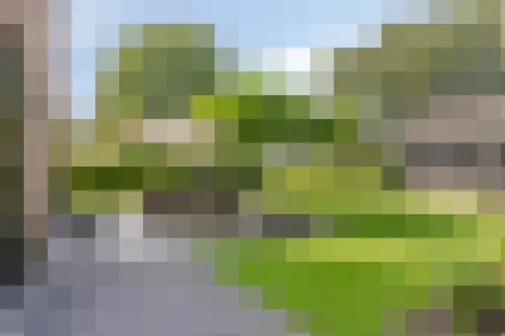 Dahliastraat 75 A Made thumbnail 68