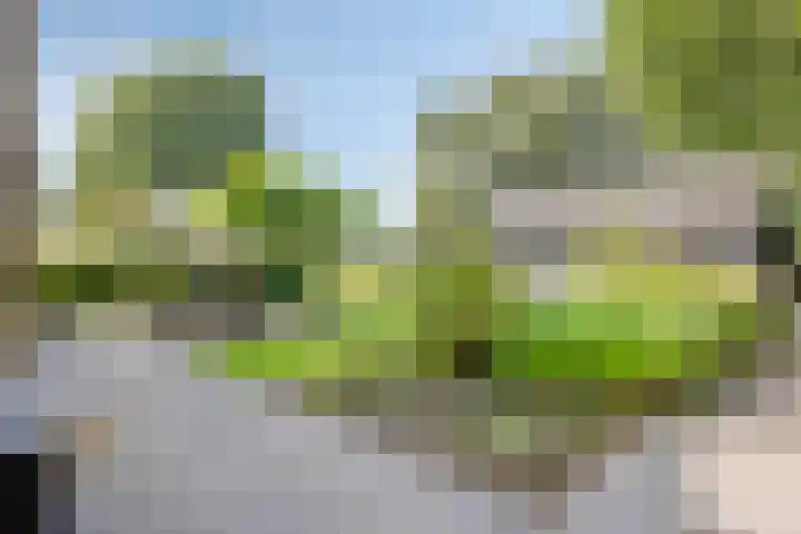 Dahliastraat 75 A Made thumbnail 69