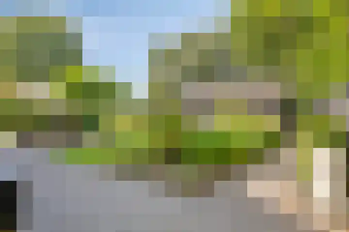 Dahliastraat 75 A Made thumbnail 71