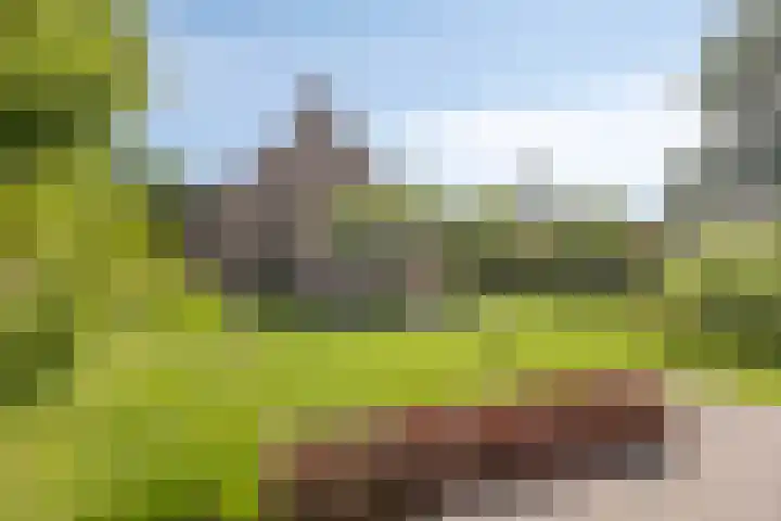 Dahliastraat 75 A Made thumbnail 72