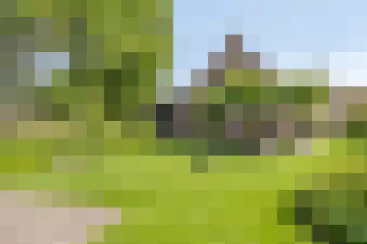 Dahliastraat 75 A Made thumbnail 73