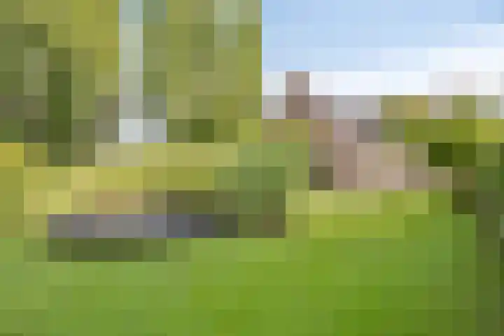 Dahliastraat 75 A Made thumbnail 74