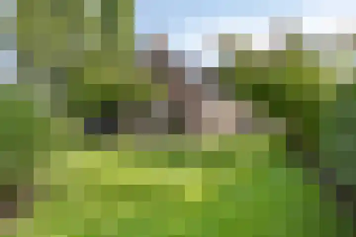 Dahliastraat 75 A Made thumbnail 75