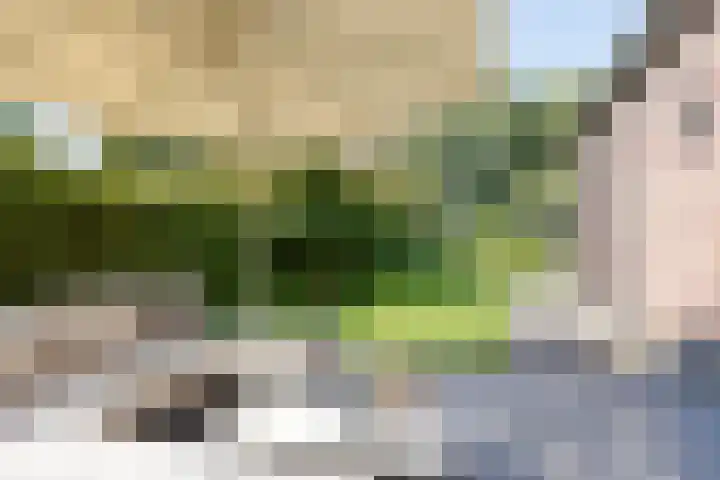Dahliastraat 75 A Made thumbnail 77