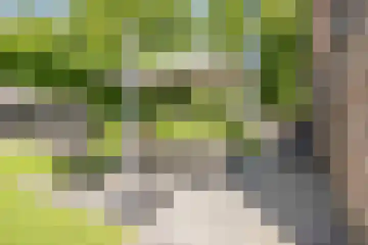 Dahliastraat 75 A Made thumbnail 78