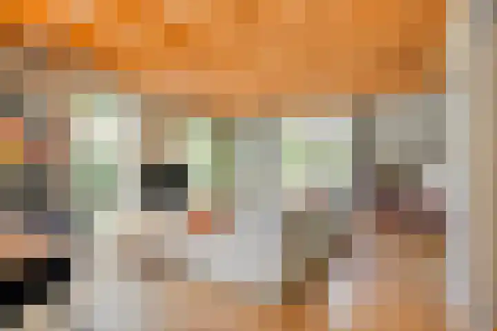 Dahliastraat 75 A Made thumbnail 8
