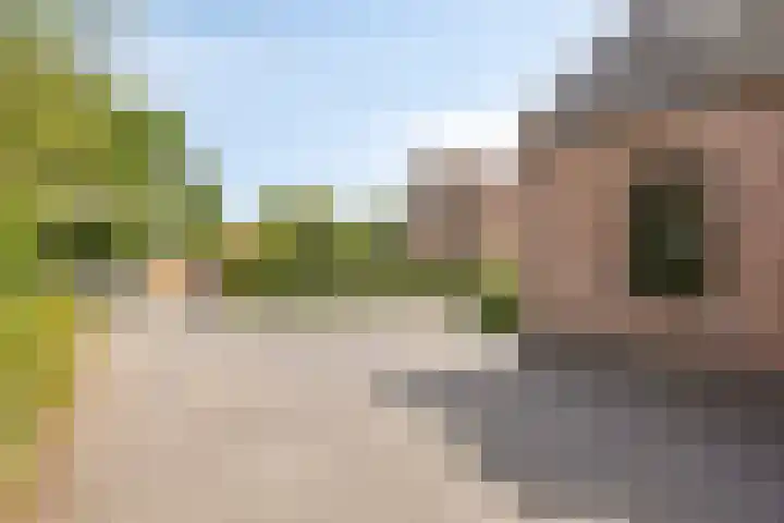 Dahliastraat 75 A Made thumbnail 91