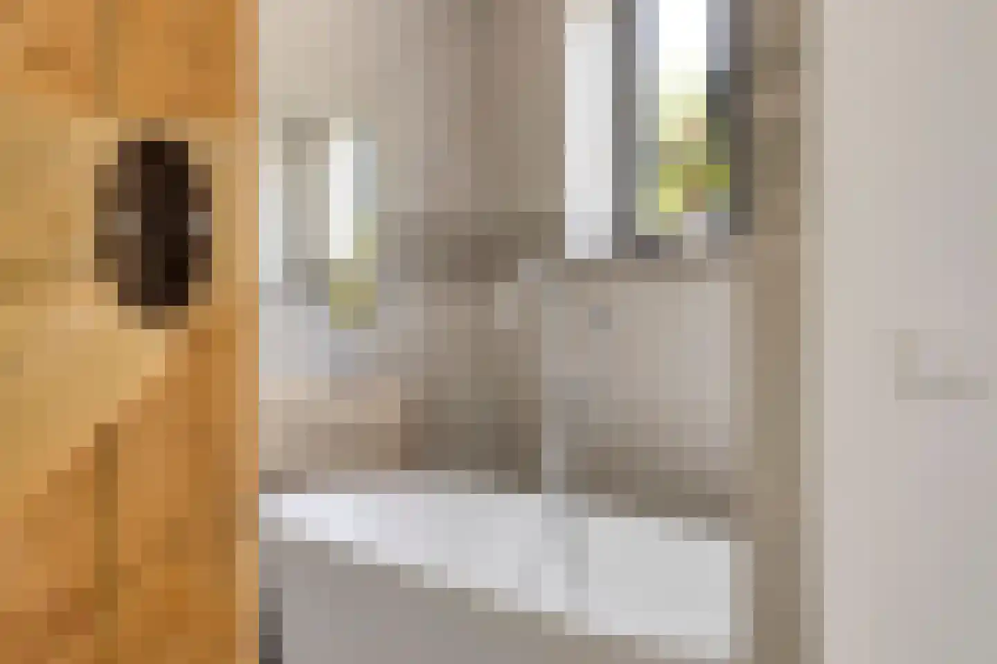 Dahliastraat 76 Made thumbnail 20