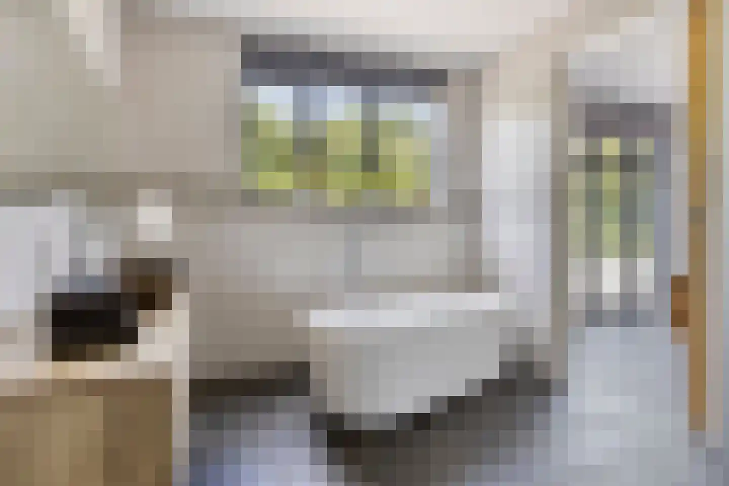 Dahliastraat 76 Made thumbnail 22