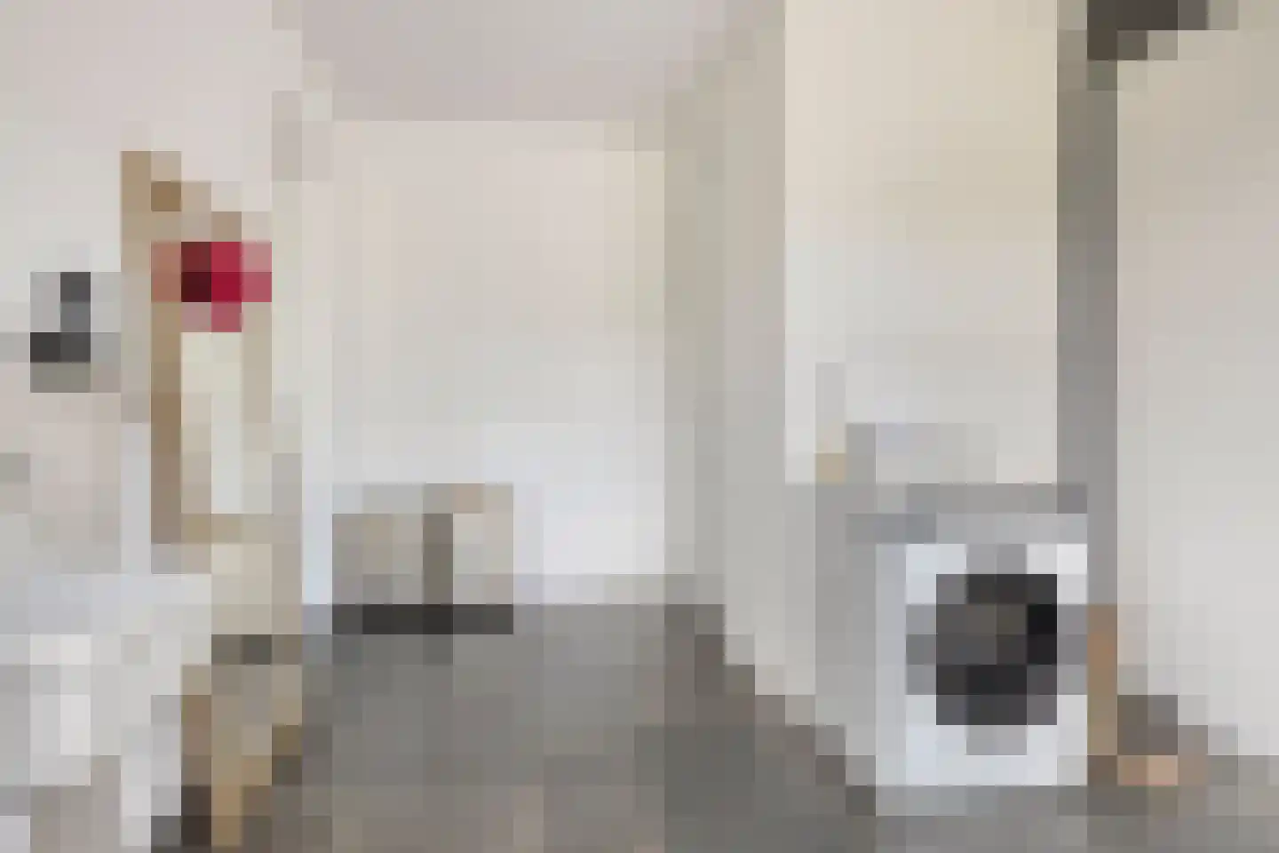 Dahliastraat 76 Made thumbnail 26
