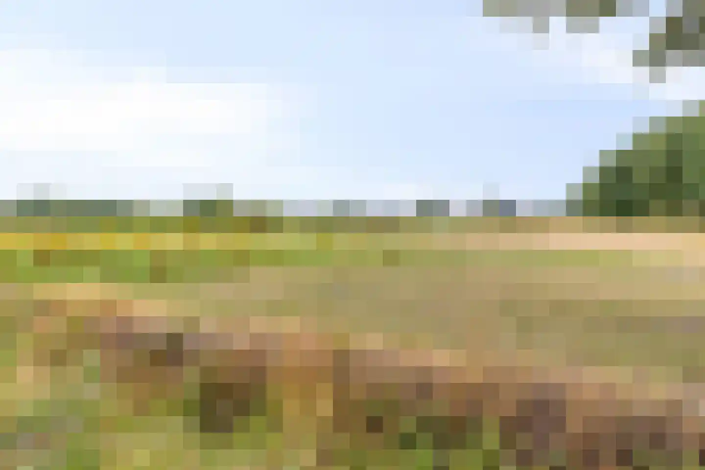 Dahliastraat 76 Made thumbnail 40