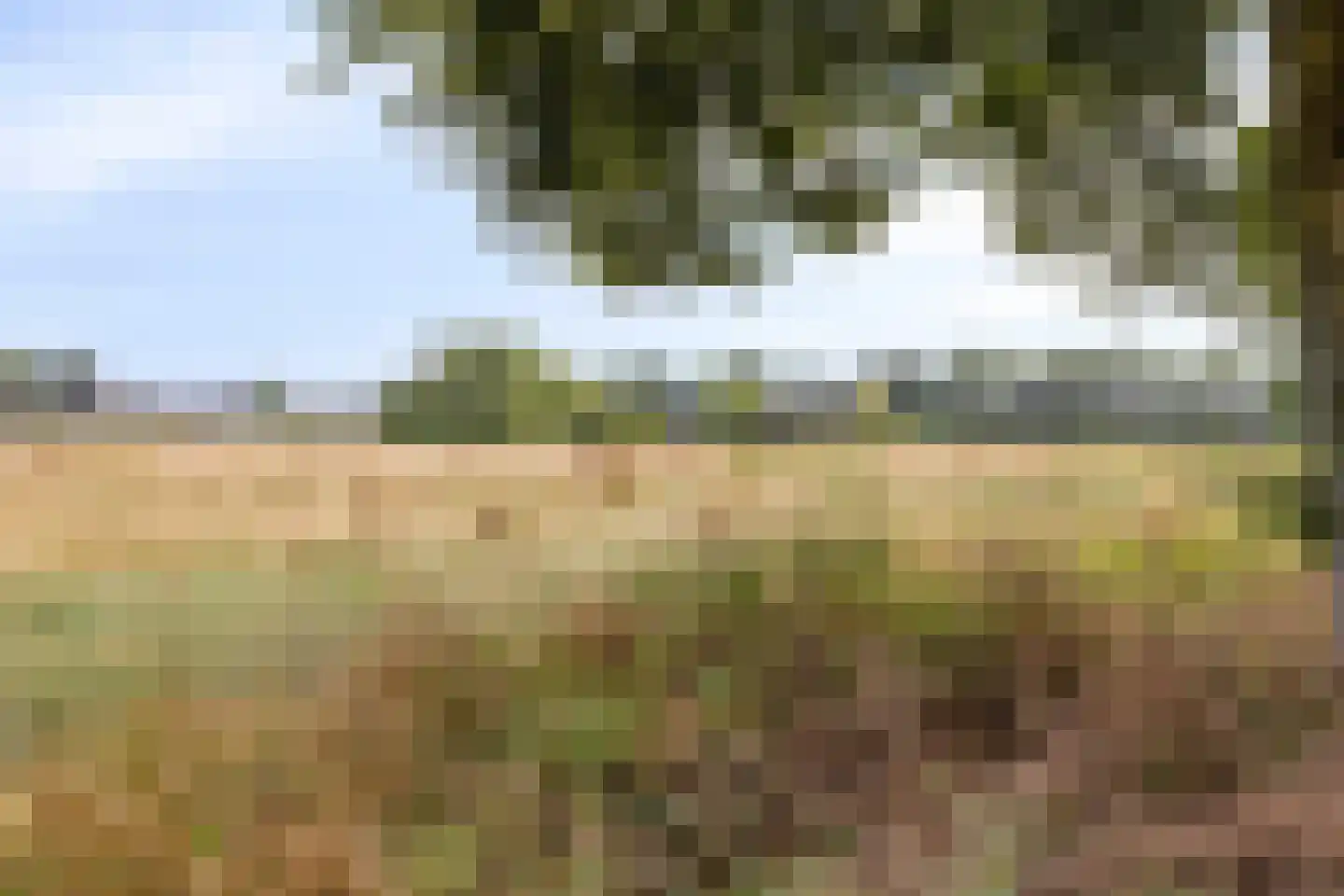 Dahliastraat 76 Made thumbnail 41